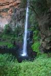 Lone Creek Falls 2