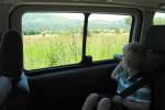 Tyler Looks at Giraffe