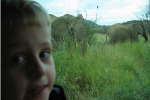 Tyler with Elephants