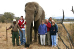 All of Us By Shaka
