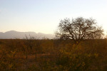 Mountains Near Tzaneen