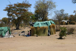 Thatch Sellers at 171