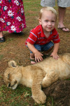 Owen and Sleeping Lion 2
