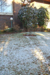 Snow on Ground