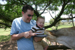 James Feeding Giraffe