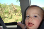 James and Giraffes