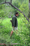 Leon Looking For Lion Tracks