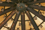 Bats on Ceiling Where We Ate