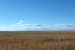 Free State Landscape