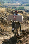 Boy on Donkey with Satellite Dish
