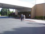The Last Walk